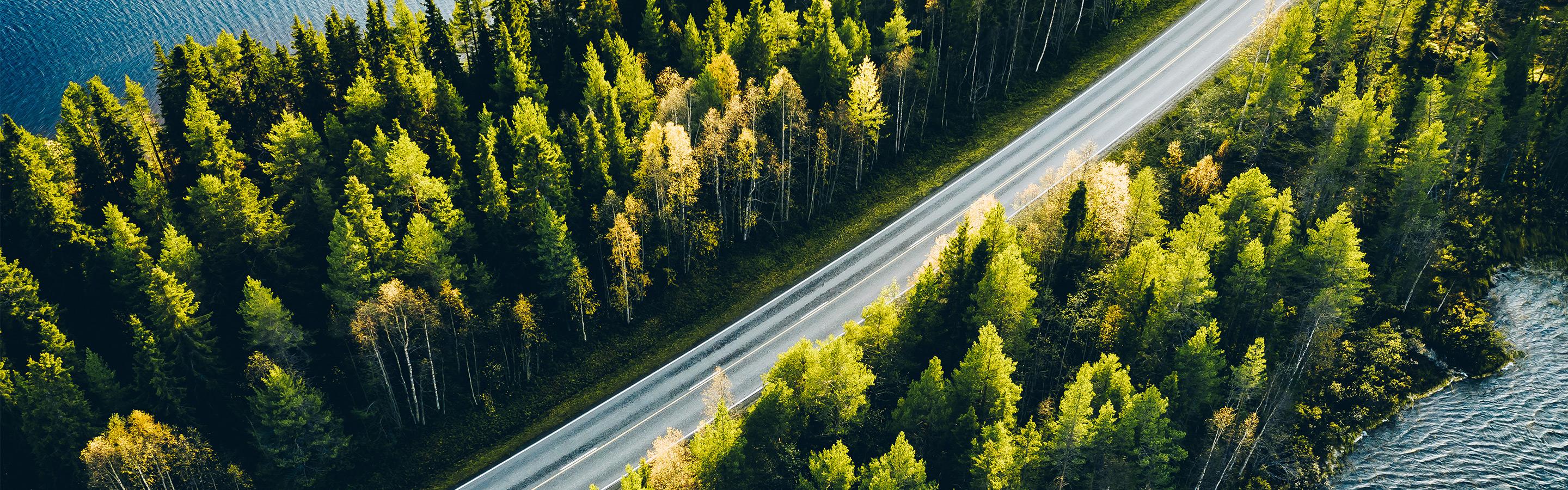 Scenic highway surrounded by trees and water