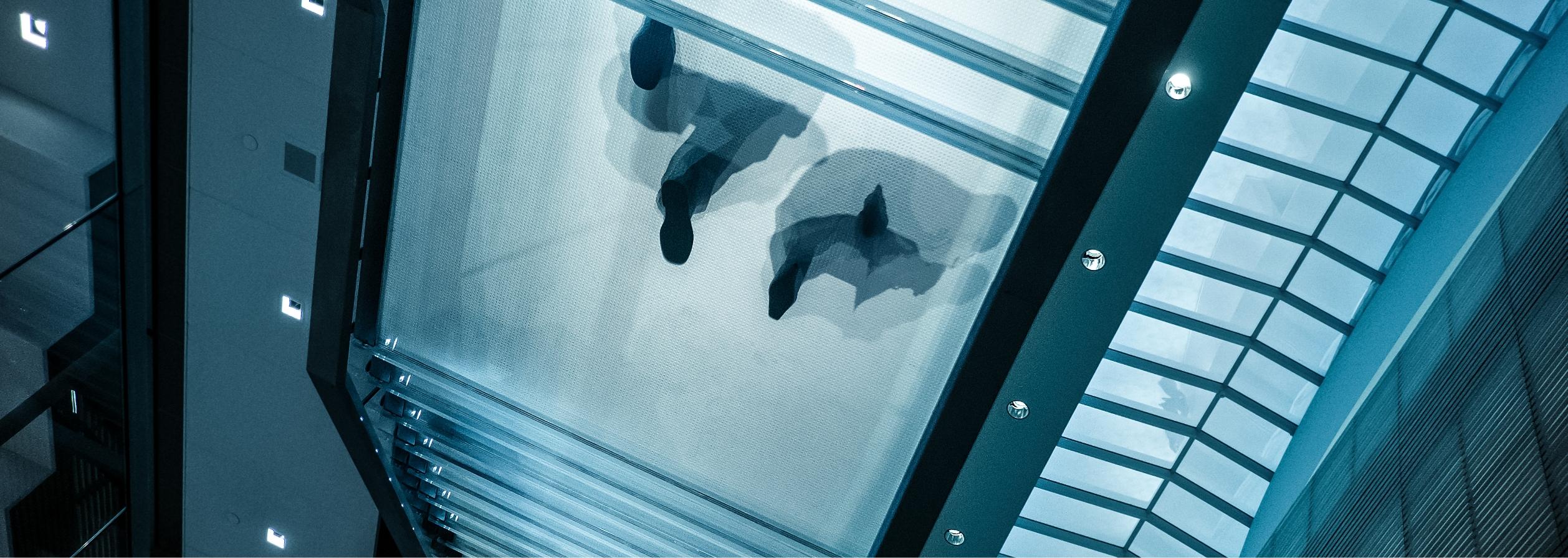 View from below of two people walking on a transparent floor
